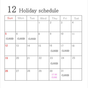 12 holiday schedule